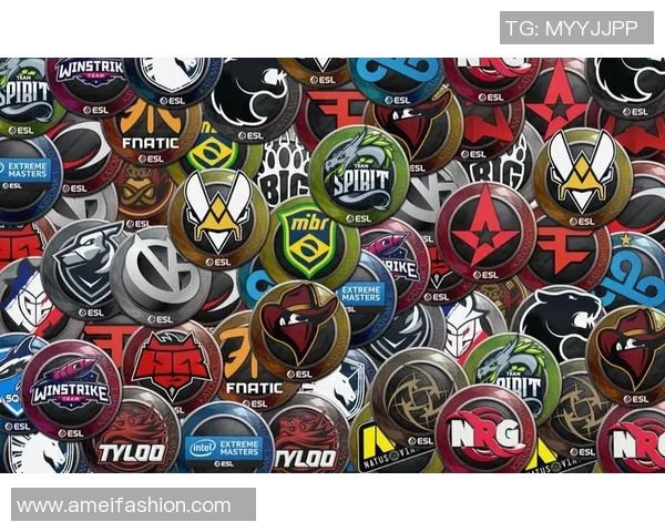 CSGO最新战队排名出炉JDG强势领跑TOP10榜单分析